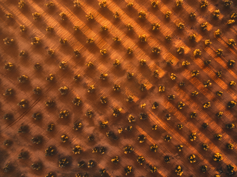 Imagen: Javier del Cerro / Skypixel
